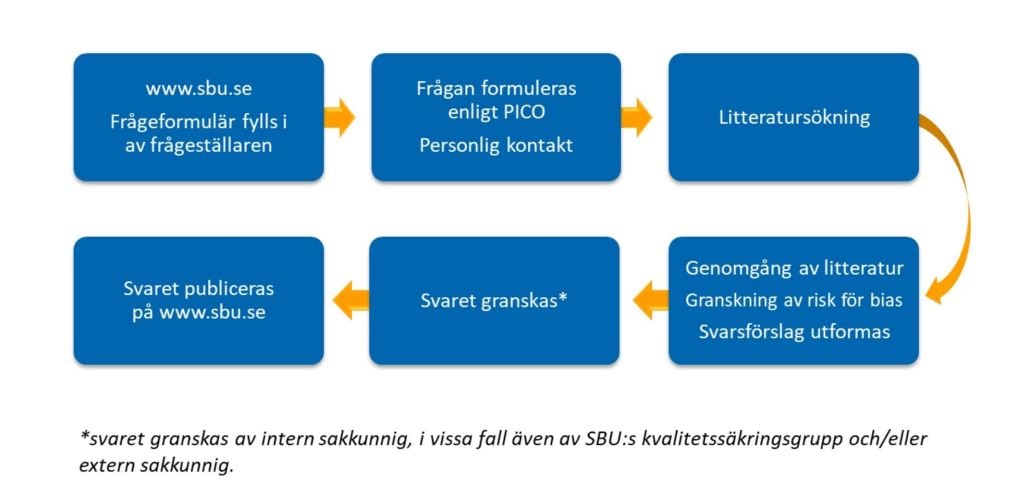 stegen i projektprocessen för SBU:s upplysningstjänst